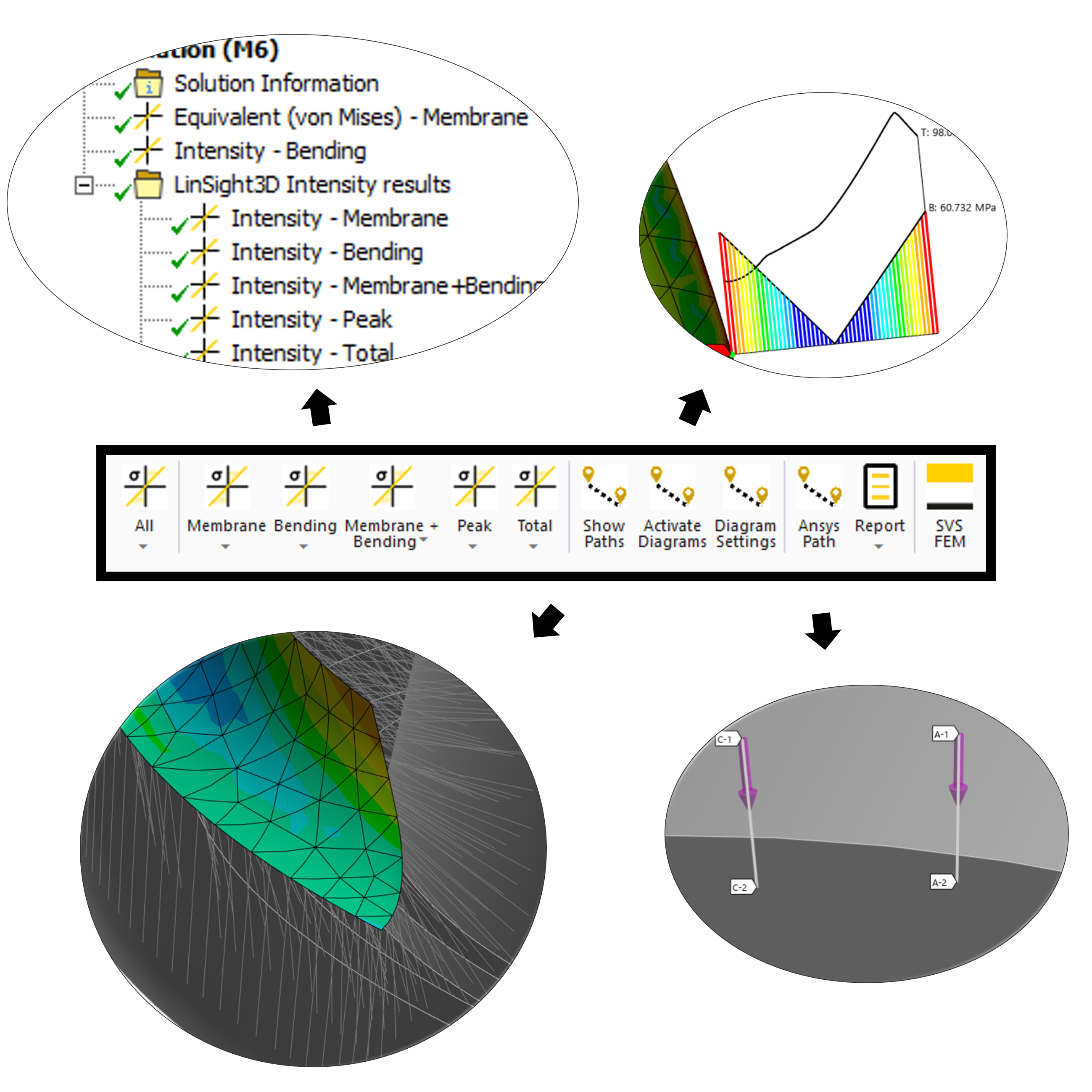 Overview of LinSight3D capabilities